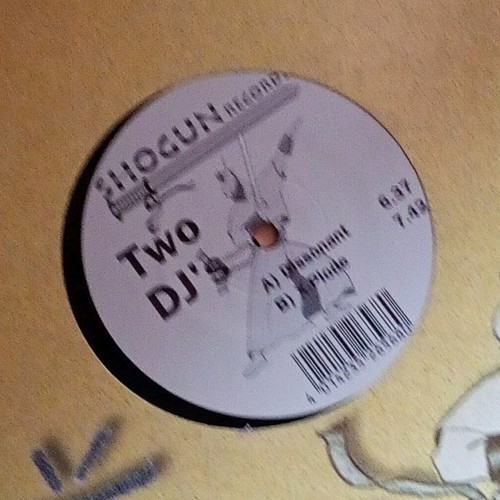 Shogun records two vinile - records,